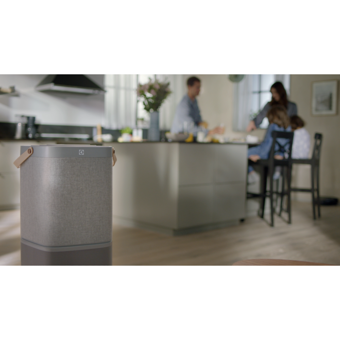Electrolux - Filter til luftrenser - EFDCAR6
