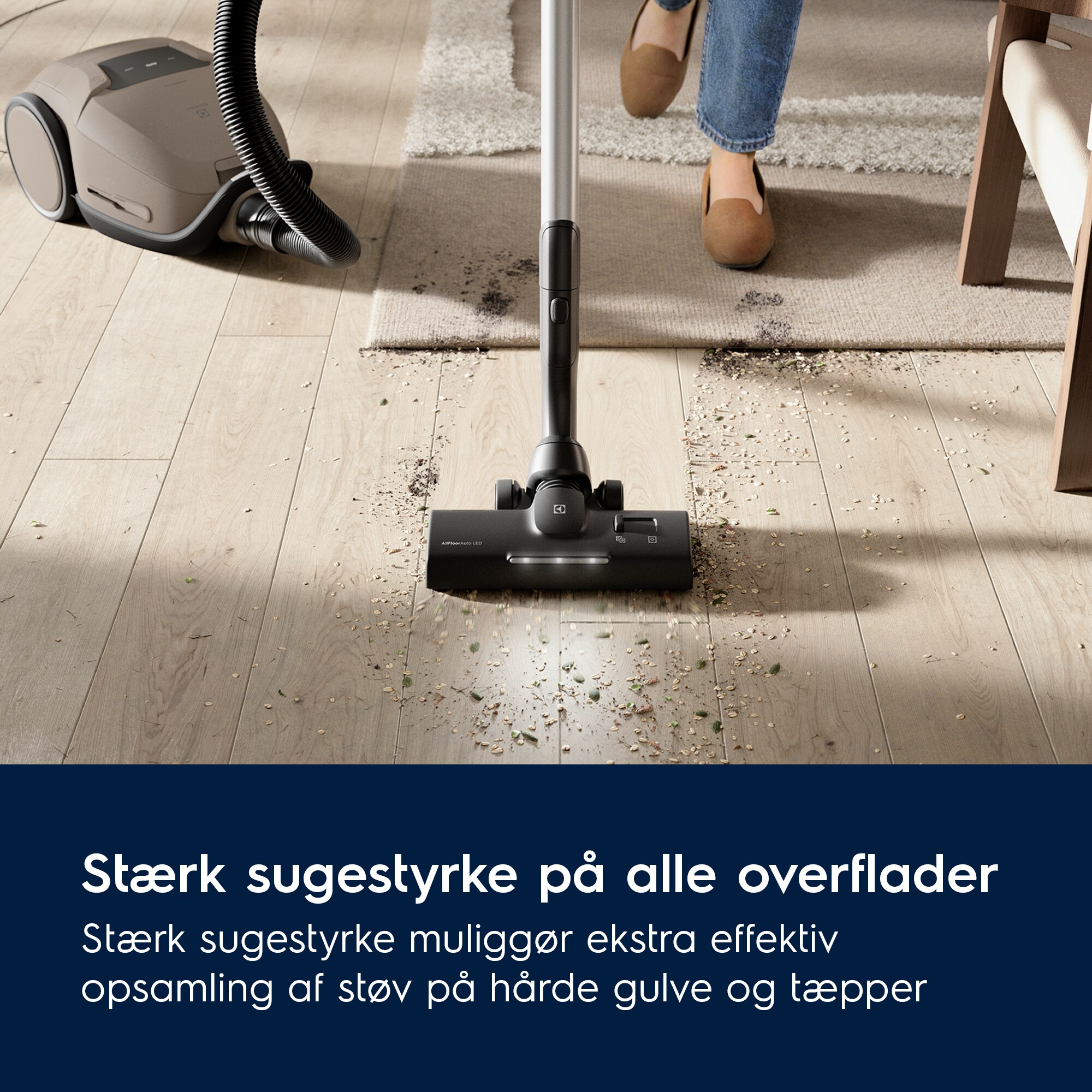 Electrolux - Støvsuger - EB81U1WB