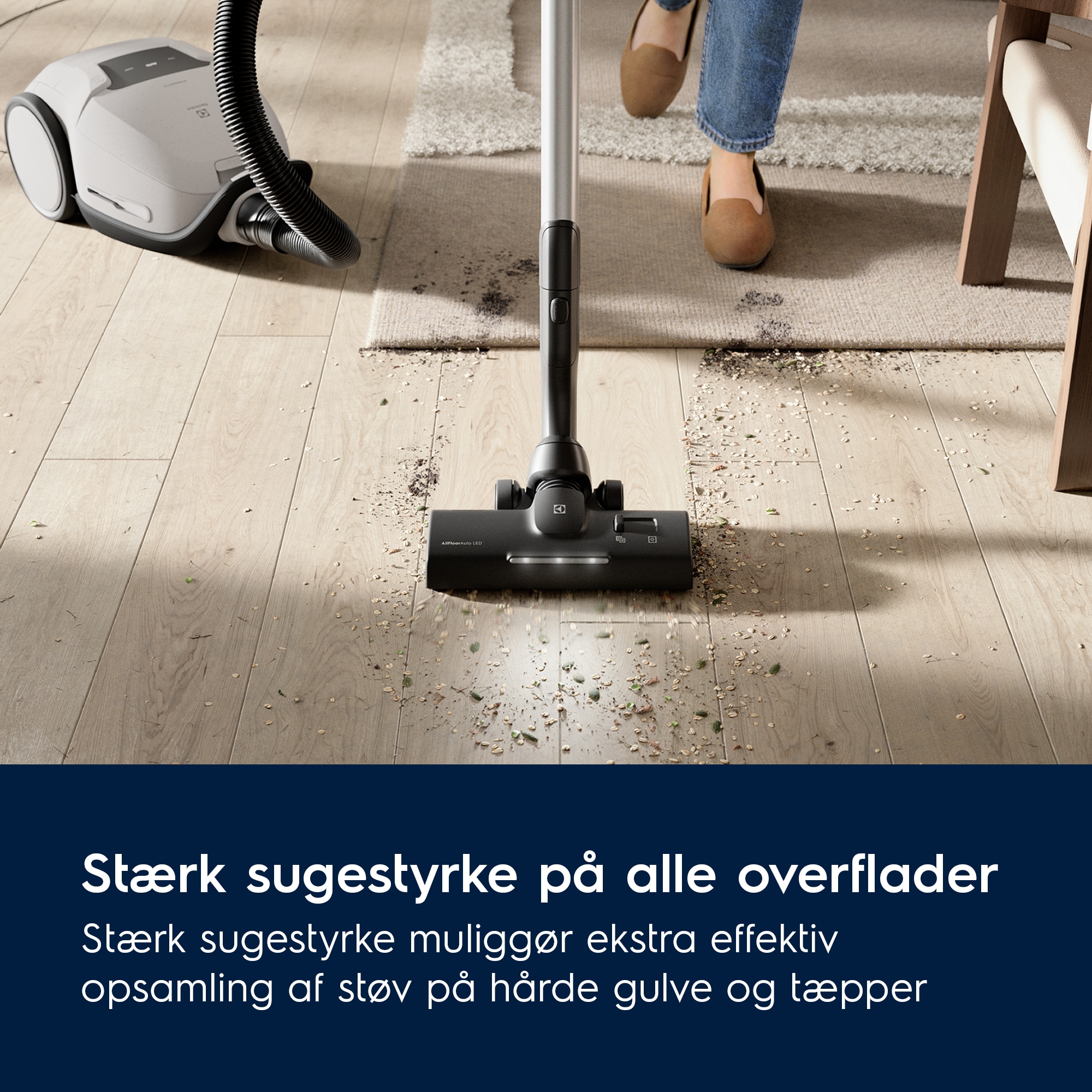 Electrolux - Støvsuger - EB81H3SW