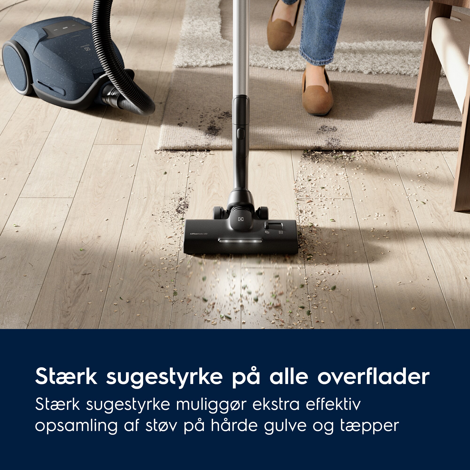 Electrolux - Støvsuger - EB81U1DB