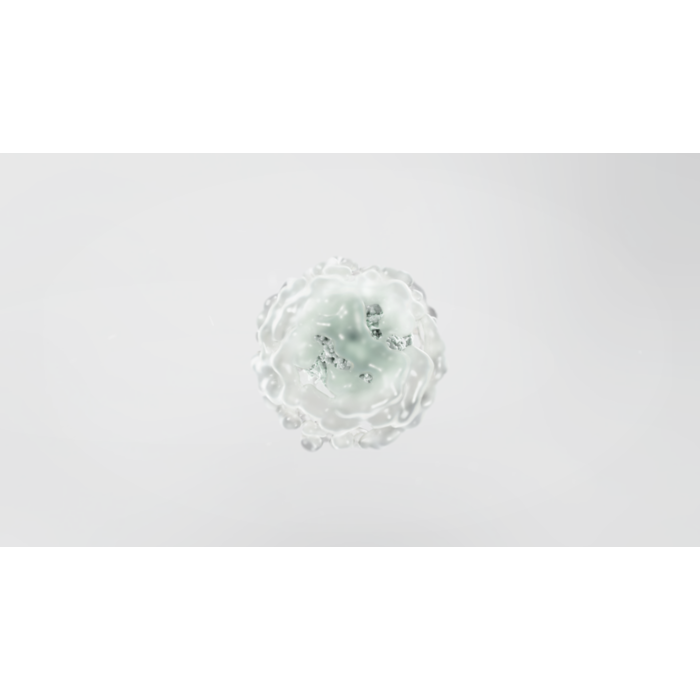 Electrolux - Filter til luftrenser - EFDCAR6