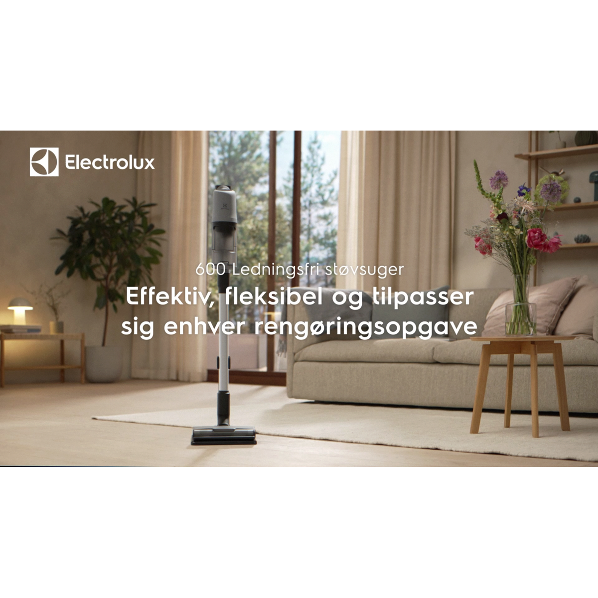 Electrolux - Ledningsfri støvsuger - EP61AB21UG