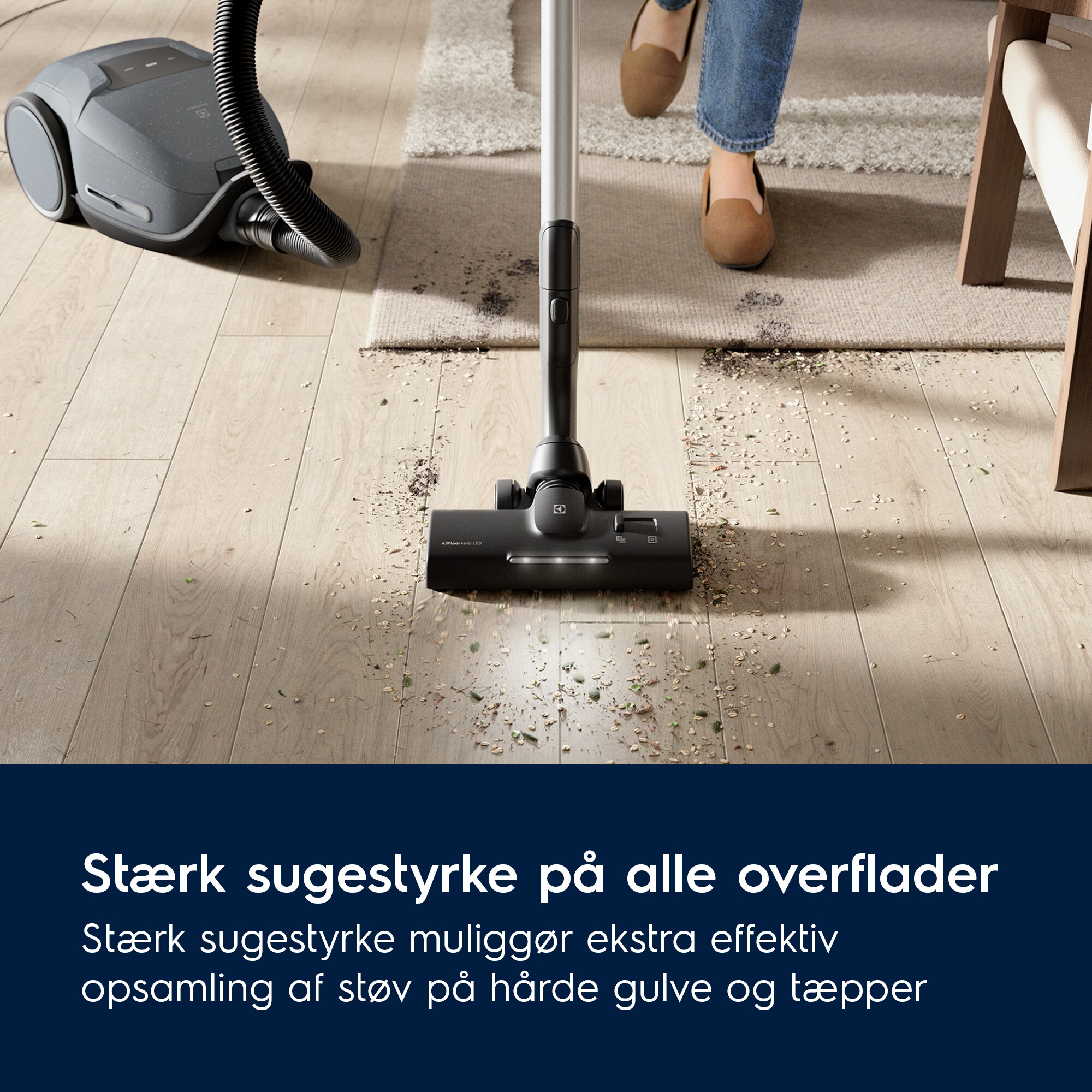 Electrolux - Støvsuger - EB81U1LDB