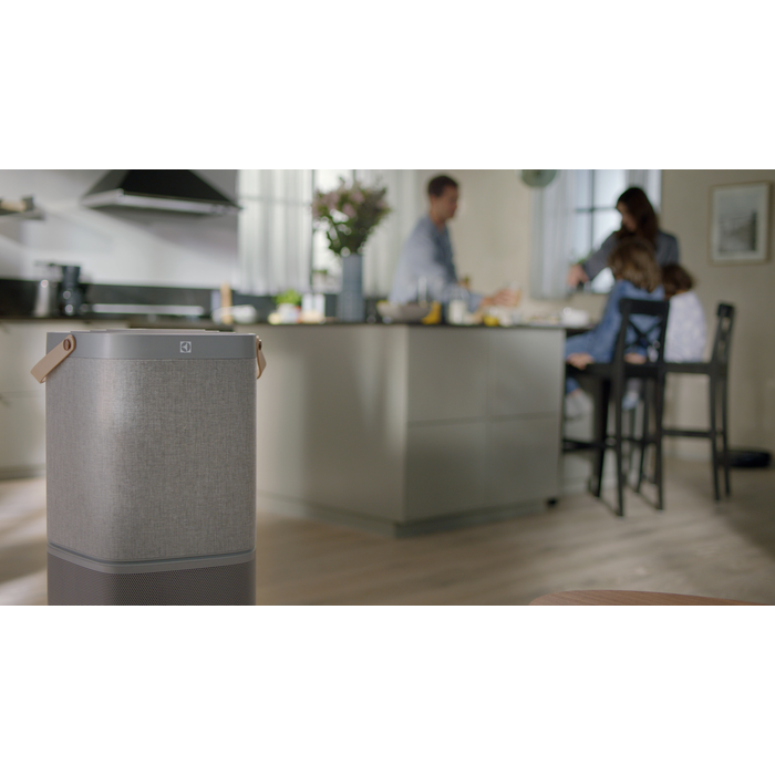Electrolux - Filter til luftrenser - EFDCLN6E