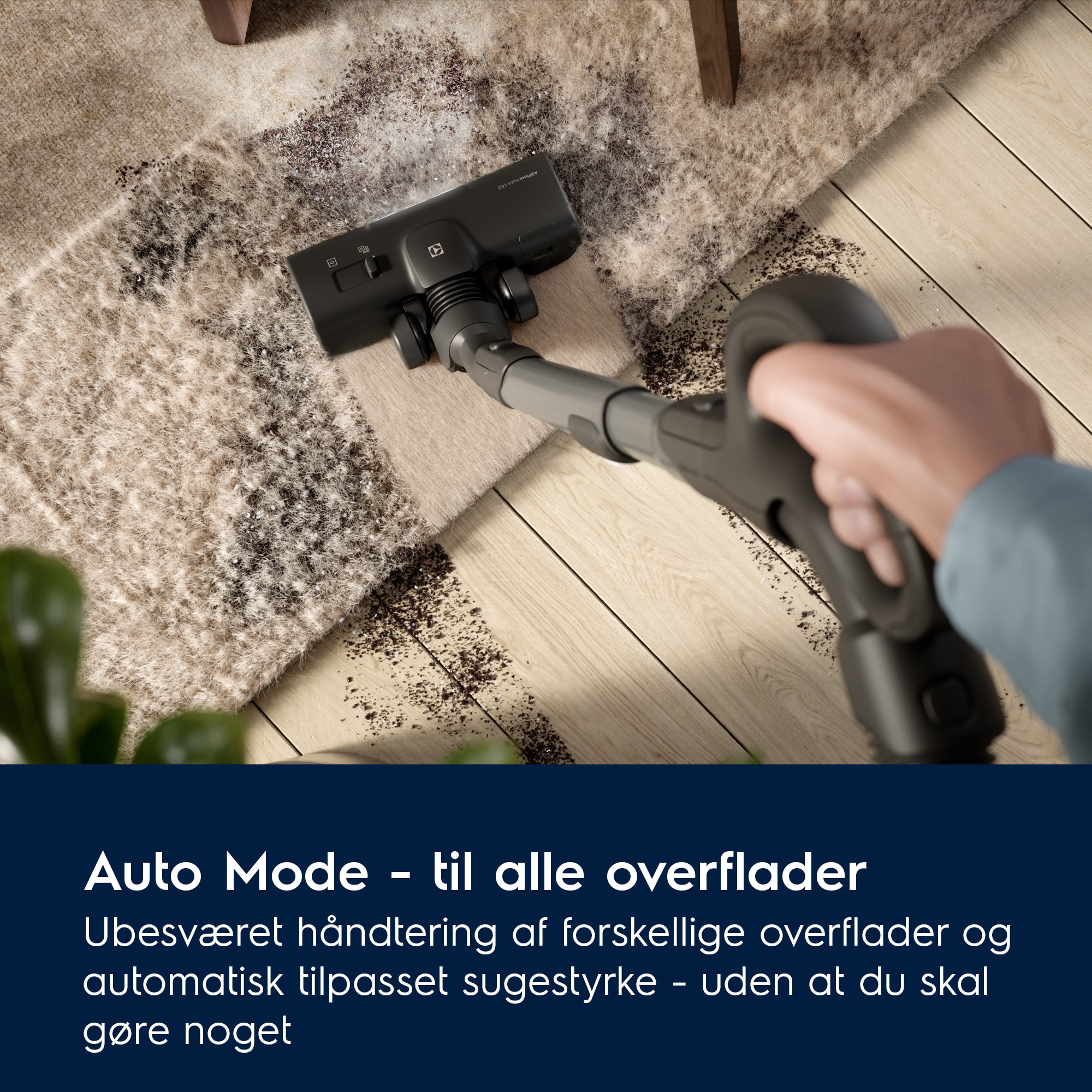 Electrolux - Støvsuger - EB81H3SW