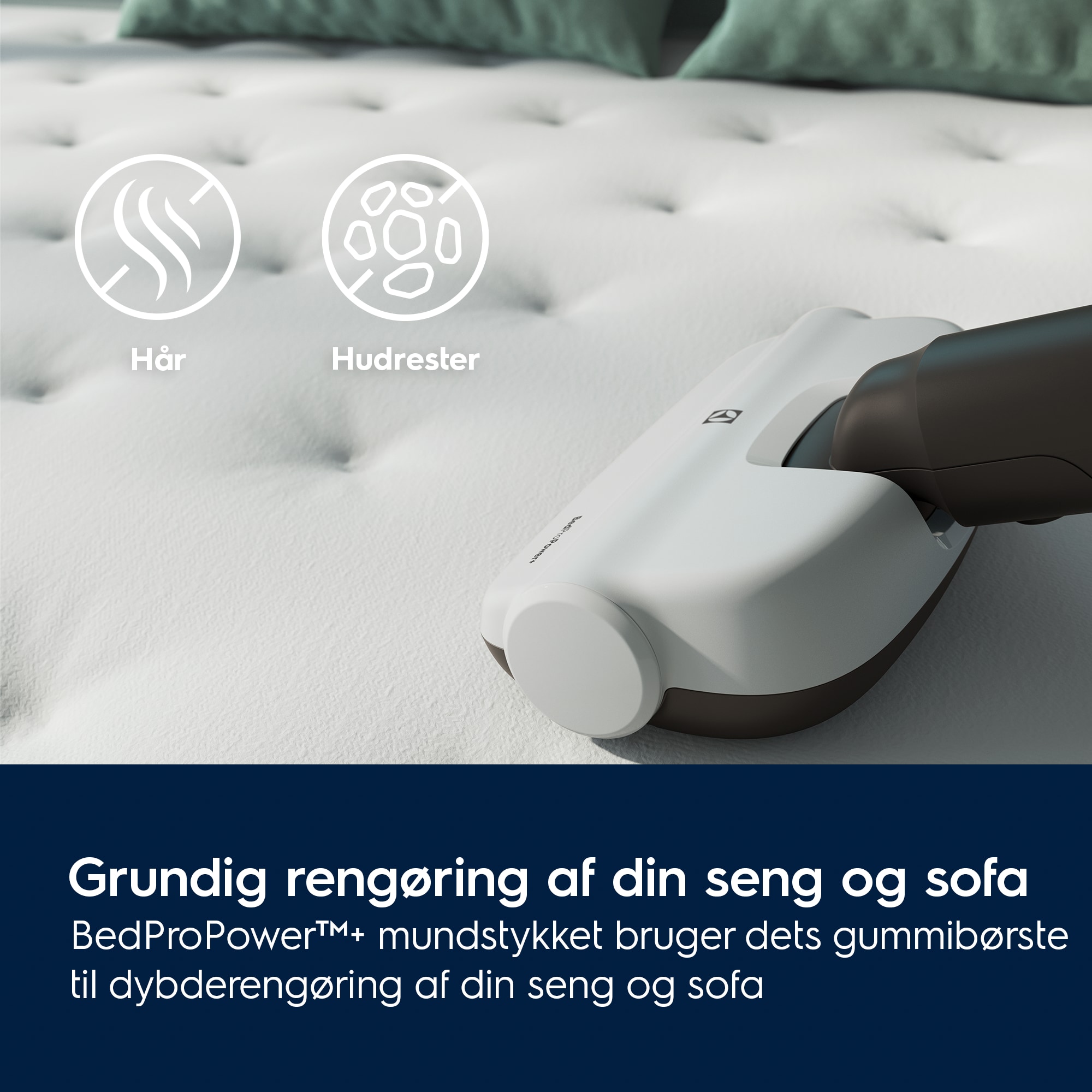 Electrolux - Ledningsfri støvsuger - EP71HB14SH