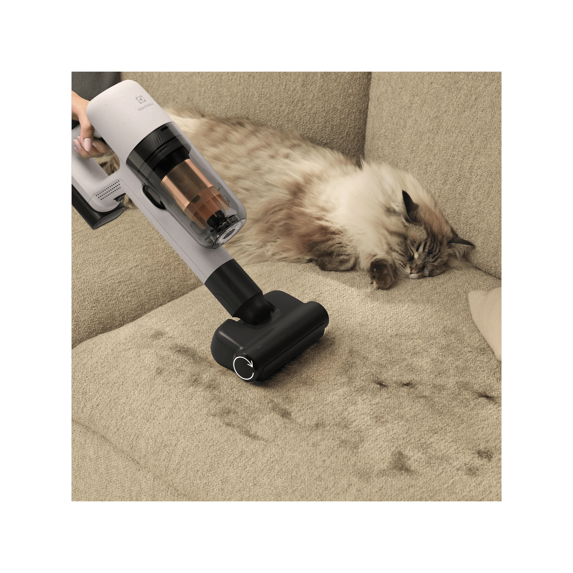 Pet+ nozzle helps removing fur from fabric and furnishings