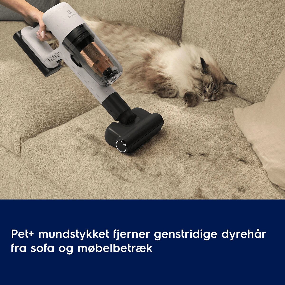 Pet+ mundstykket fjerner genstridige dyrehår fra sofa og møbelbetræk