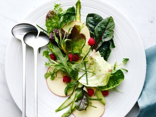 Frisk salat fra Electrolux TwinTech-kølefryser