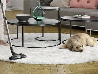 Støvsuger og hund på gulv