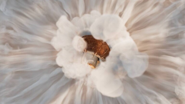 Tilberedning af champignon